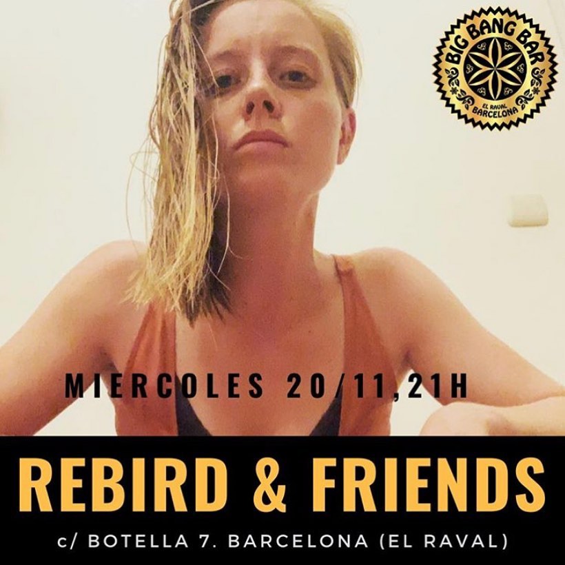 Rebird & Friends Concert